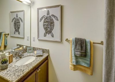 Virginia_Contractor_bathroom